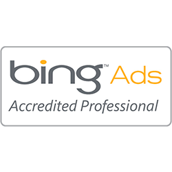 bing Ads accredited Professional