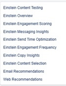 Opciones de Einstein en Marketing Cloud